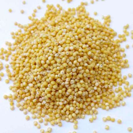 Mijo ecológico en grano - 500 g