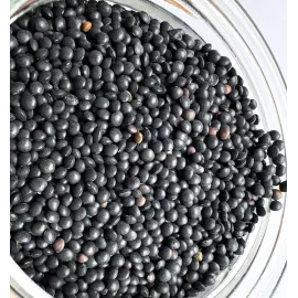 Lenteja beluga ecológica - 1 kg