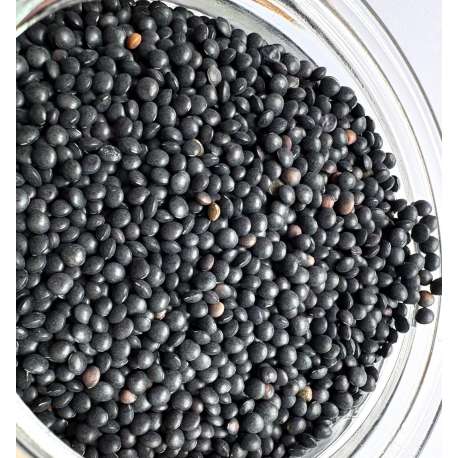 Lenteja Beluga ecológica - 1 kg