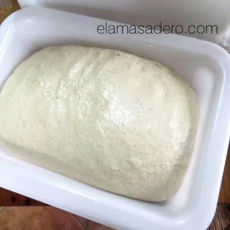 Recipiente para fermentar masas