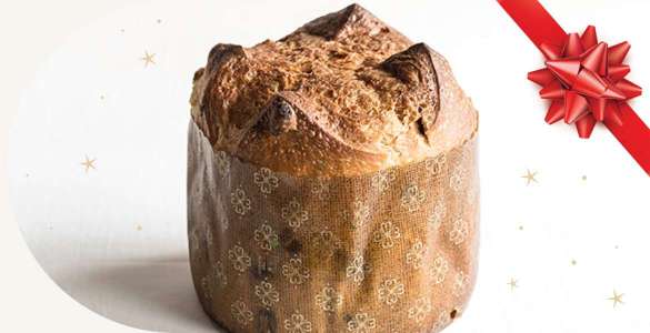 Ingredientes para panettone